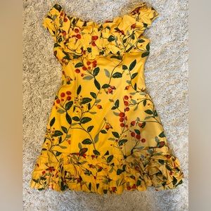 Agua by Agua Bendita
Curandera Jardin Frutal Ruffled Minidress